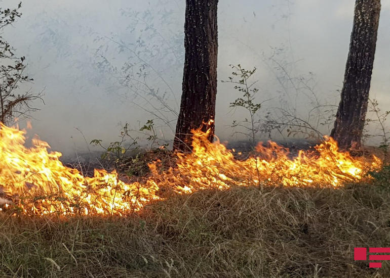 Yevlaxda yanğın zamanı bir nəfər xəsarət alıb