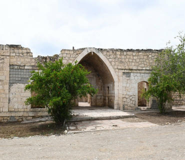 category photo