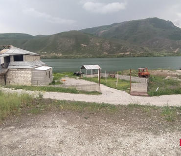 category photo