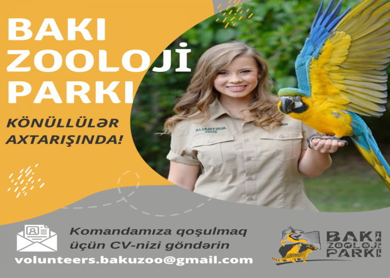 Bakı Zooloji Parkı heyvanları sevən könüllü gənclər axtarır