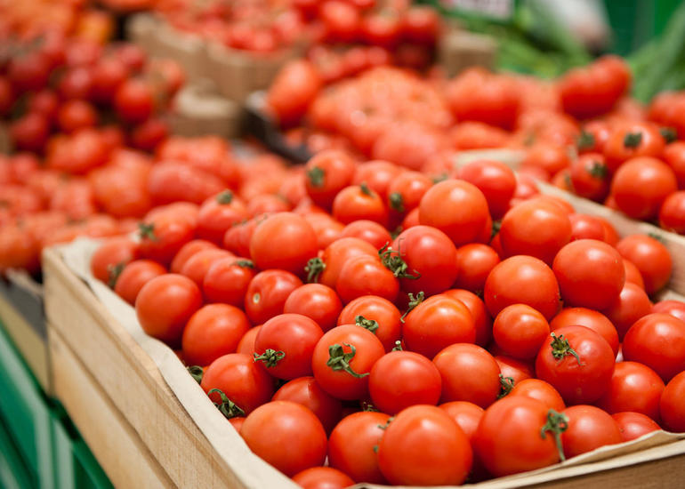 Azərbaycanın bu il pomidor ixracından gəlirləri 29% azalıb