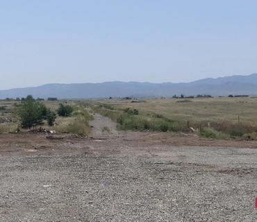 category photo