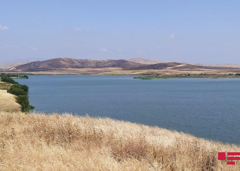 Qazaxda iki nəfər Kürdə batıb