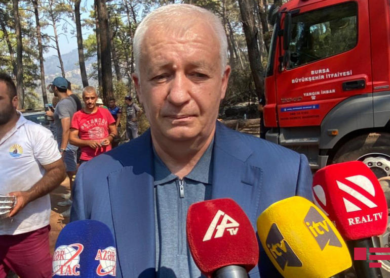 Nazir müavini: “Türkiyəyə gəlmiş Azərbaycan yanğınsöndürənləri yanğınların söndürülməsi üçün var gücü ilə çalışır”