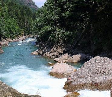 category photo