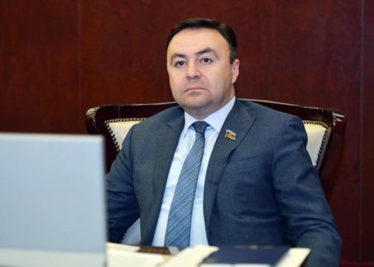 “Zəngəzur müasir Ermənistan ərazisindəki türk yurdudur”