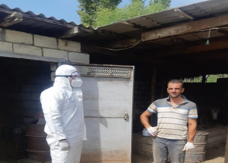 Saatlıda ünvanı tərk edən koronavirus xəstəsi aşkarlanıb