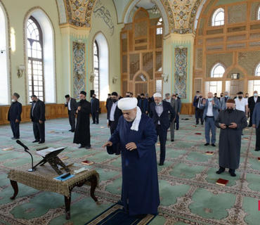category photo