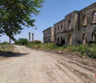 category photo
