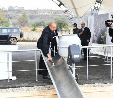 category photo