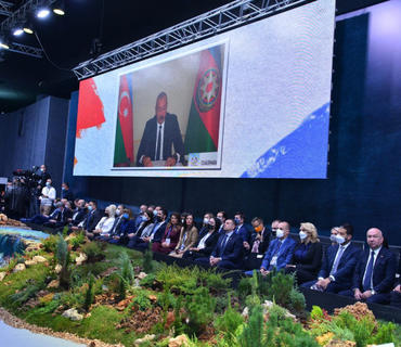 category photo