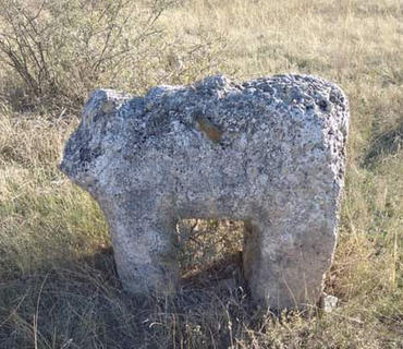 category photo