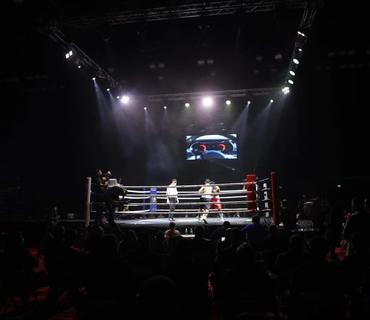 category photo