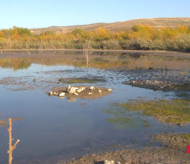 category photo