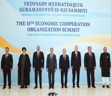 category photo