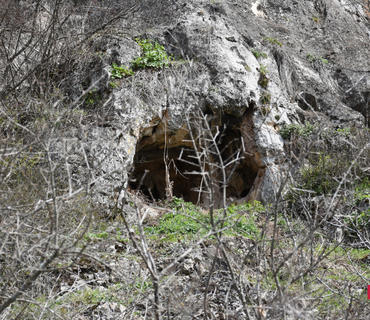 category photo