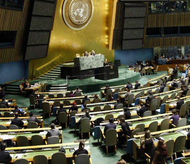 category photo