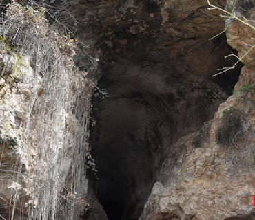 category photo