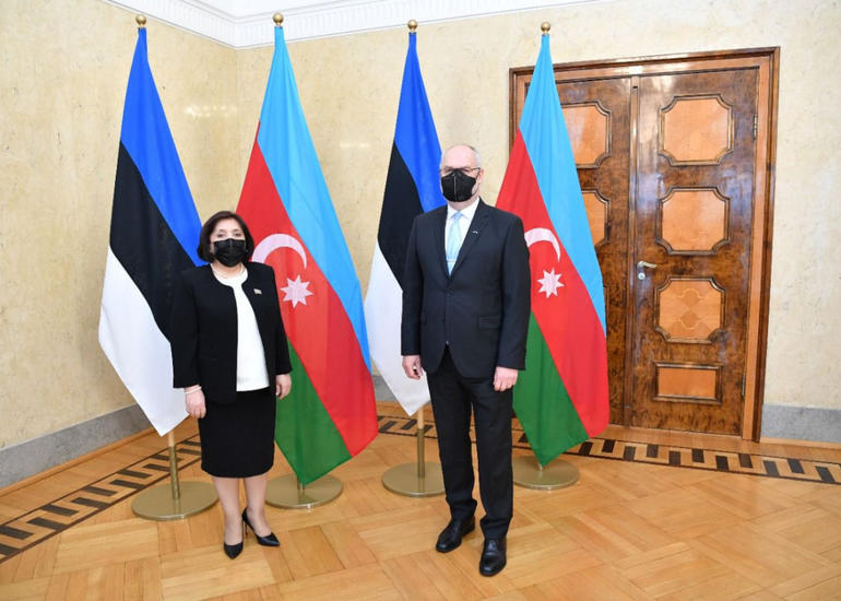 Sahibə Qafarova Estoniya Prezidenti ilə görüşüb
