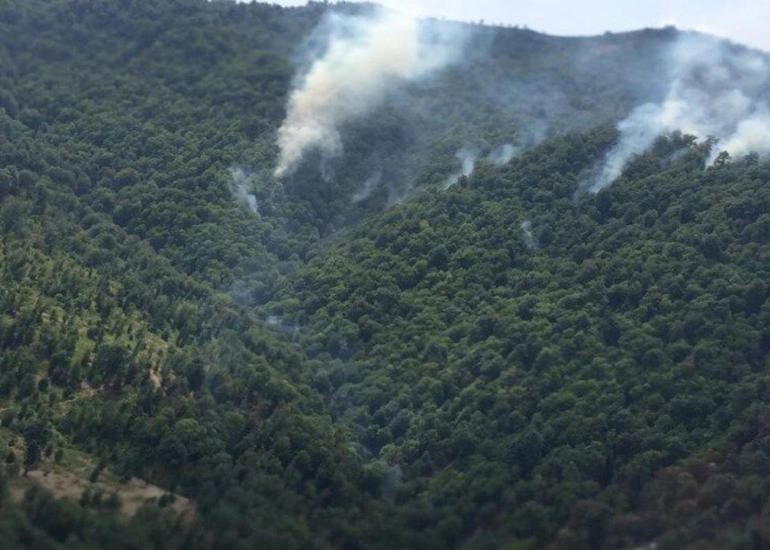Antalyada meşə yanğını: Qurumlar səfərbər oldu