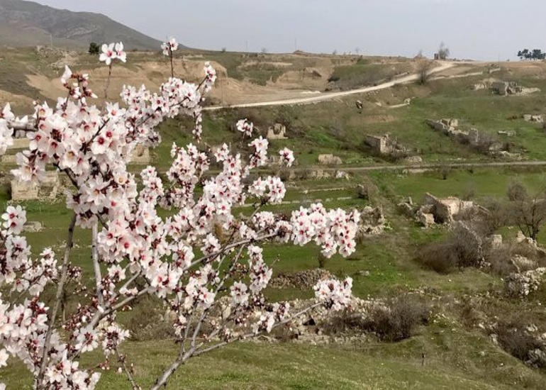 Britaniya səfiri Cəbrayıla səfər edib