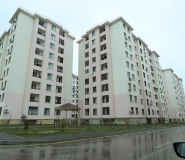 category photo