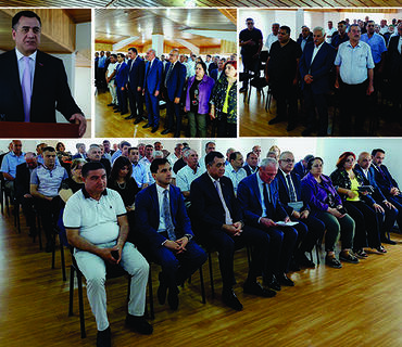 category photo