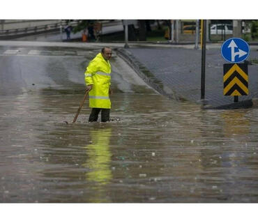 category photo