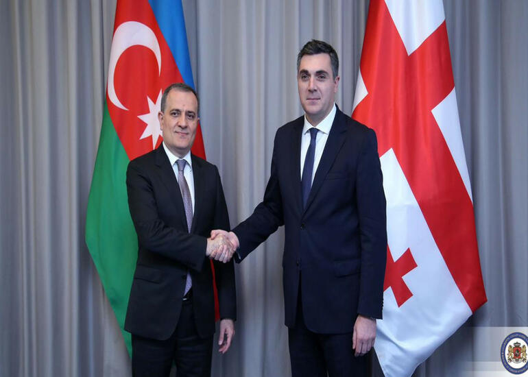 Gürcüstan XİN rəhbəri: Regionda sülh üçün birgə səylərimiz öz nəticəsini verəcək