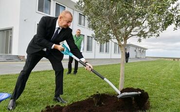 İlham Əliyev zavodun açılışında iştirak etdi - Foto