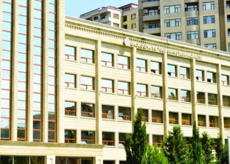 “Qızılbulaq” və “Dəmirli” yataqları ilə bağlı açıqlama