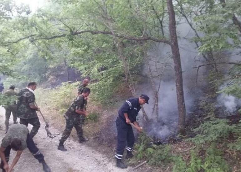 Qəbələdə meşəlik ərazidə yanğın