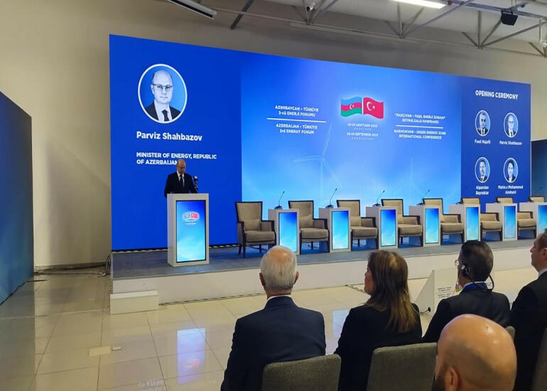 Nazir: İstifadəyə veriləndən TANAP vasitəsilə 24 mlrd. kubmetr qaz nəql olunub