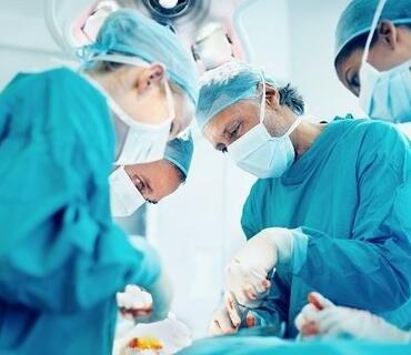 category photo
