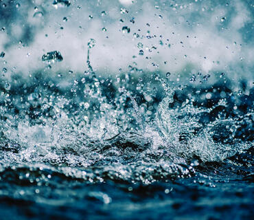 category photo