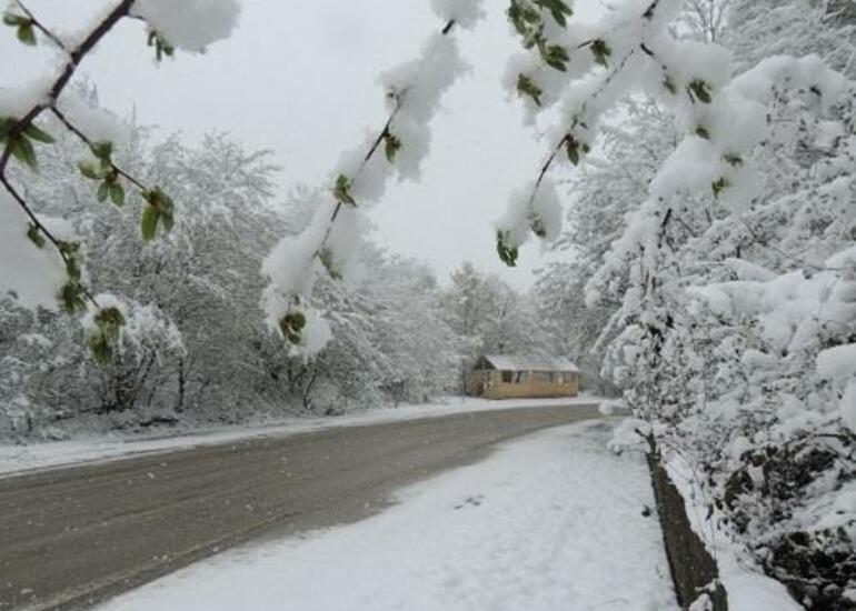 Temperatur 10 dərəcə düşəcək, yağış və qar yağacaq