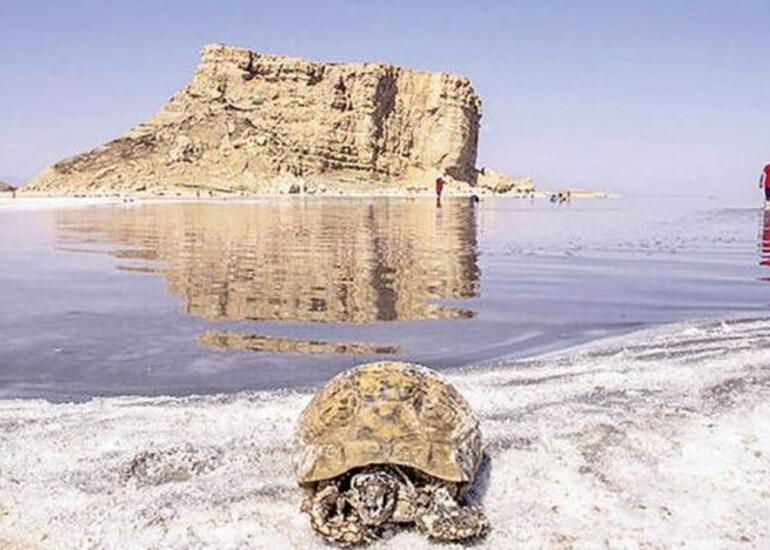 Urmiya gölünün son durumu açıqlandı