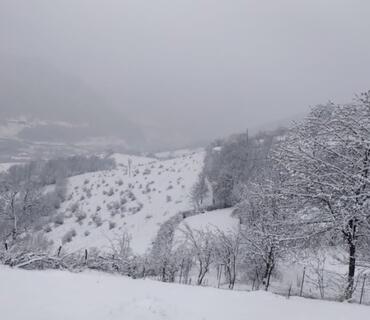 category photo