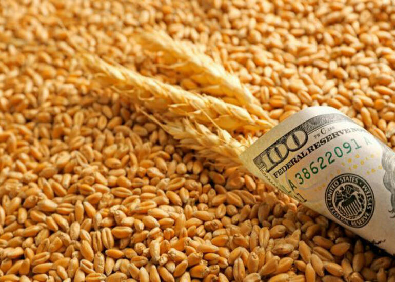 Azərbaycanın idxal etdiyi buğdanın qiyməti 24% azalıb