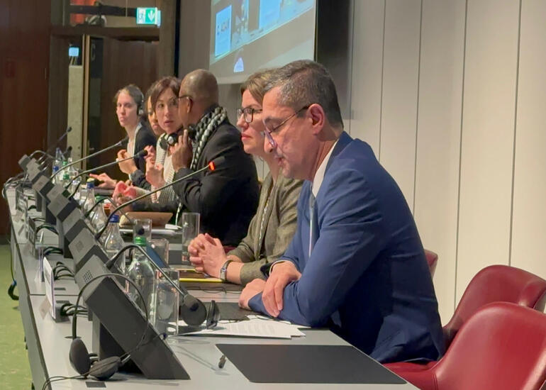 Milli Məclisin deputatı Parlamentlərarası İttifaqın Komitə iclasında COP29 barədə çıxış edib