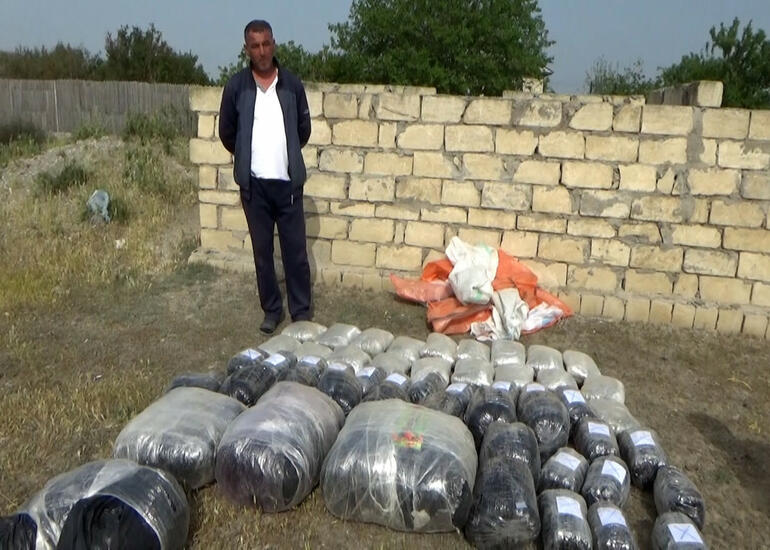 Neftçala sakinindən 87 kq narkotik götürüldü - Video