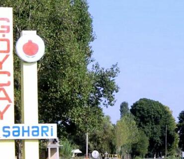 category photo