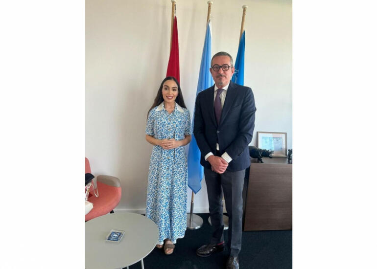 Leyla Əliyeva İsveçrədə BMT ofisində görüşlər keçirib - FOTO