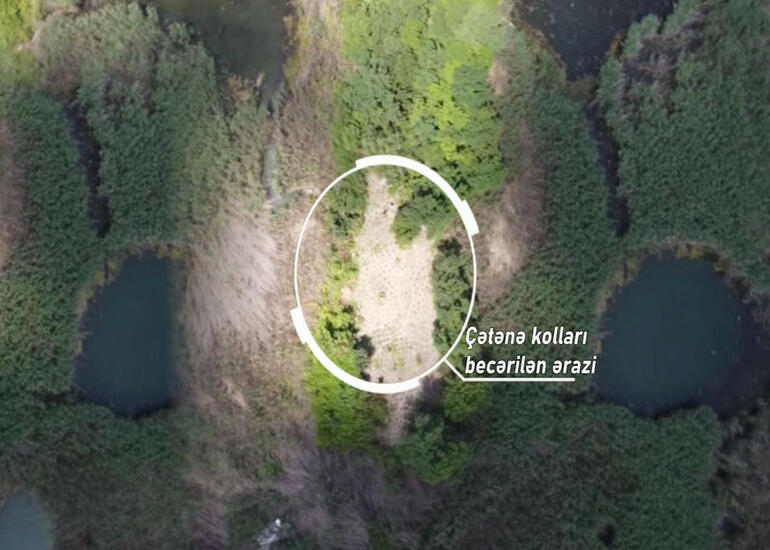 Göldəki adada narkotik əkdi, kameralar quraşdırdı