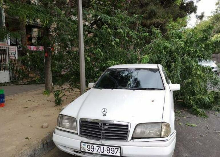 Güclü külək: Yollardakı problem aradan qaldırıldı
