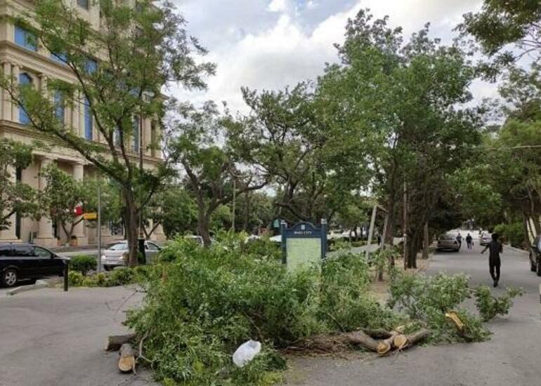 Bakının 12 rayonunda təhlükə: İH hərəkətə keçdi
