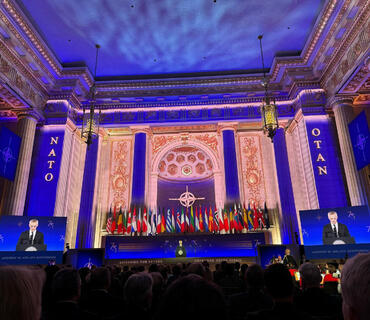 category photo