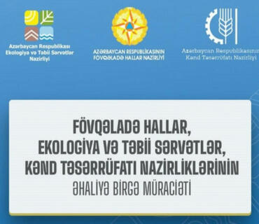 category photo