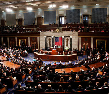 category photo