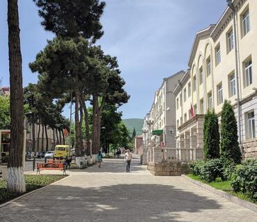 category photo